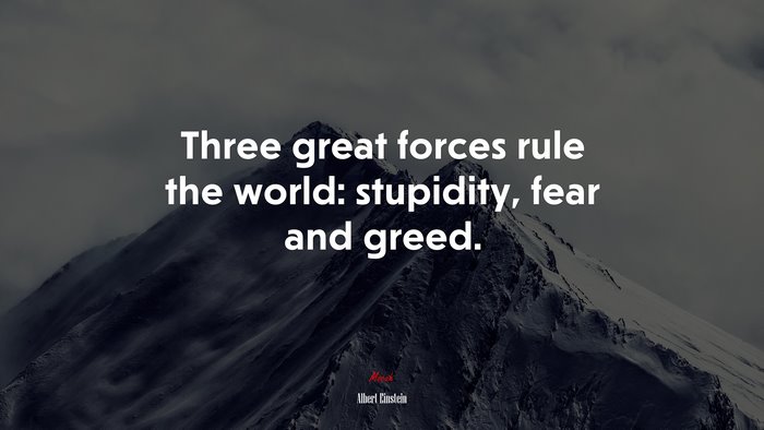 Three great forces rule the world: stupidity, fear and greed. | Albert Einstein quote