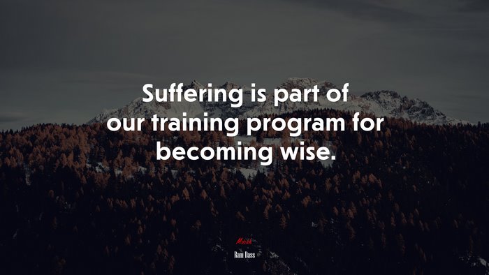 Suffering is part of our training program for becoming wise. | Ram Dass quote