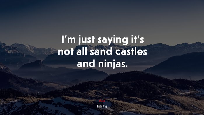 I’m just saying it’s not all sand castles and ninjas. | Libba Bray quote