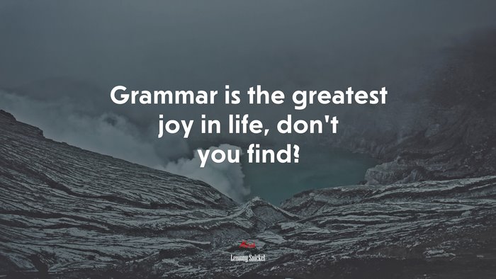 Grammar is the greatest joy in life, don’t you find? | Lemony Snicket quote