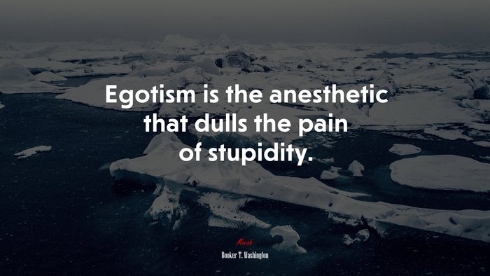 Egotism is the anesthetic that dulls the pain of stupidity. | Booker T. Washington quote