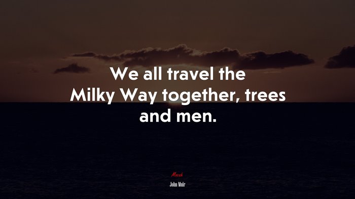 We all travel the Milky Way together, trees and men. | John Muir quote