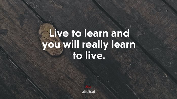 Live to learn and you will really learn to live. | John C. Maxwell quote