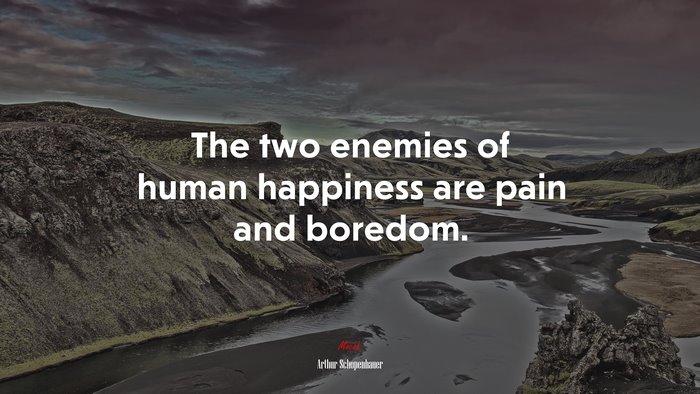 The two enemies of human happiness are pain and boredom. | Arthur Schopenhauer quote
