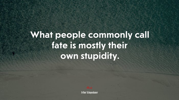 What people commonly call fate is mostly their own stupidity. | Arthur Schopenhauer quote
