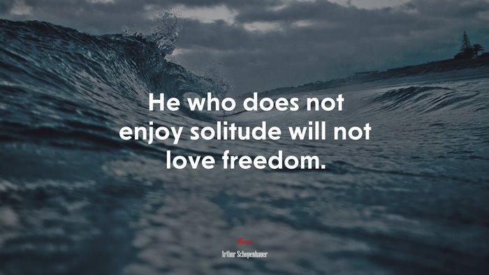 He who does not enjoy solitude will not love freedom. | Arthur Schopenhauer quote
