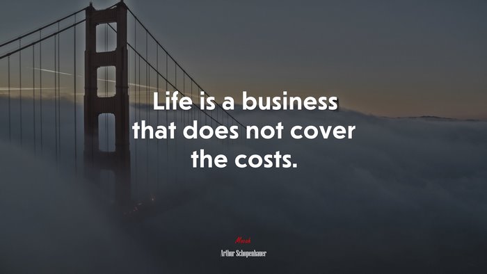 Life is a business that does not cover the costs. | Arthur Schopenhauer quote