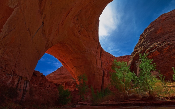 Natural sandstone arch over a canyon with trees