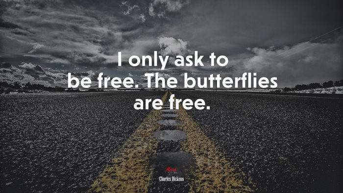 I only ask to be free. The butterflies are free. | Charles Dickens quote