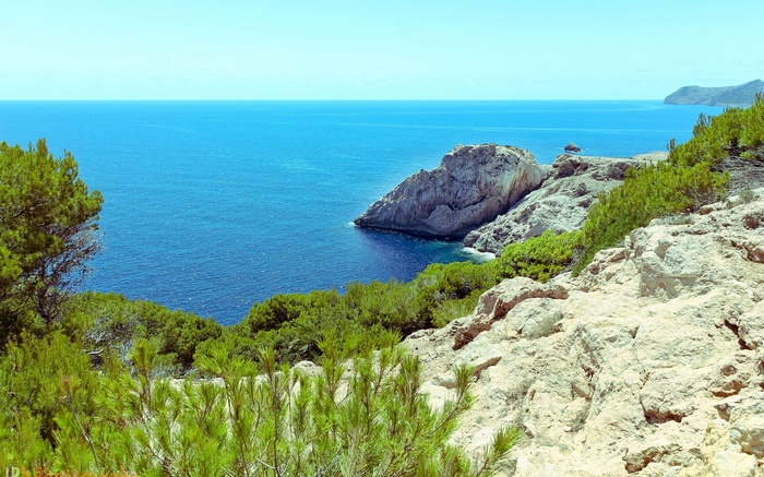 Rocky coastline with blue ocean and green trees