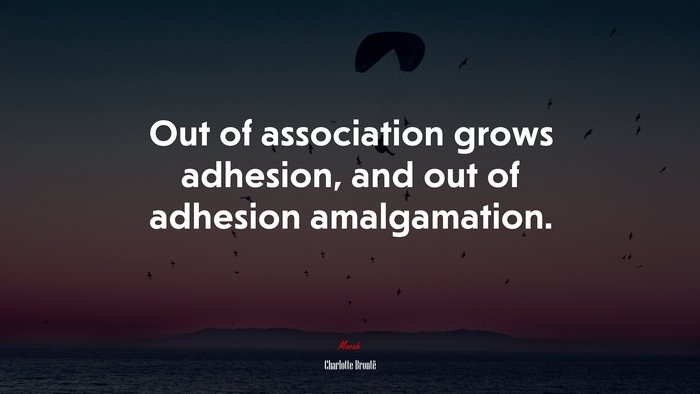 Out of association grows adhesion, and out of adhesion amalgamation. | Charlotte Brontë quote