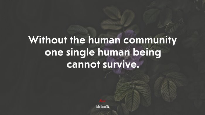 Without the human community one single human being cannot survive. | Dalai Lama XIV quote