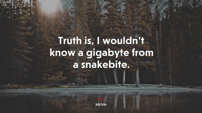Truth is, I wouldn’t know a gigabyte from a snakebite. | Dolly Parton quote