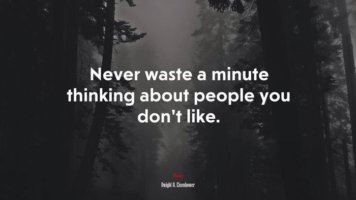 Never waste a minute thinking about people you don’t like. | Dwight D. Eisenhower quote