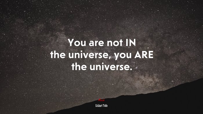You are not IN the universe, you ARE the universe. | Eckhart Tolle quote
