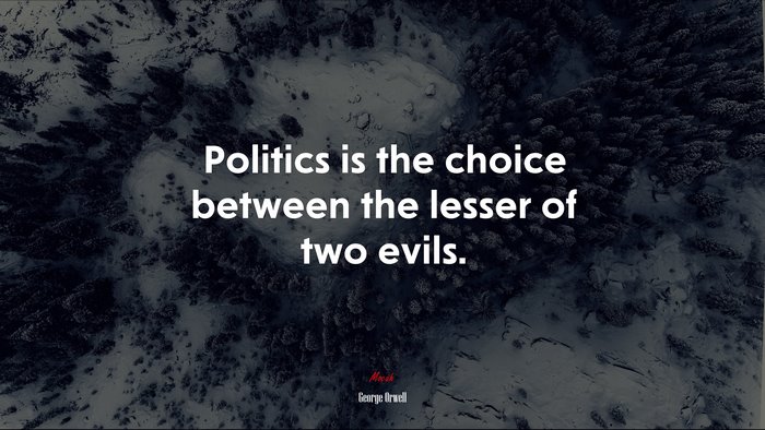 Politics is the choice between the lesser of two evils. | George Orwell quote