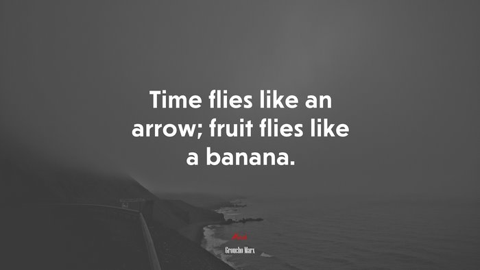 Time flies like an arrow; fruit flies like a banana. | Groucho Marx quote