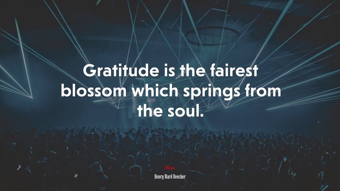 Gratitude is the fairest blossom which springs from the soul. | Henry Ward Beecher quote