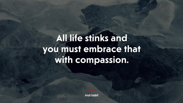 All life stinks and you must embrace that with compassion. | Joseph Campbell quote