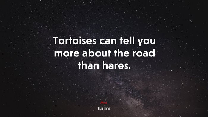 Tortoises can tell you more about the road than hares. | Khalil Gibran quote