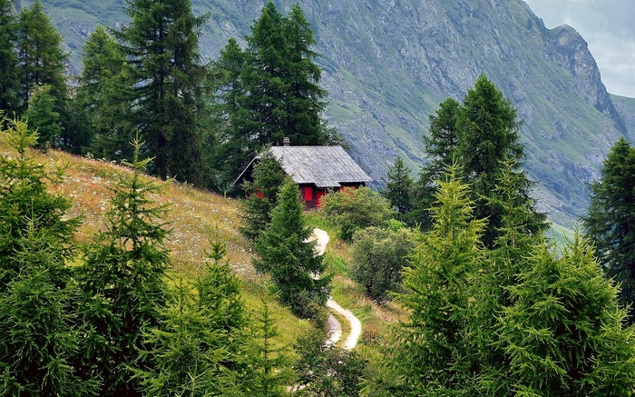 Cabin in the mountains surrounded by trees