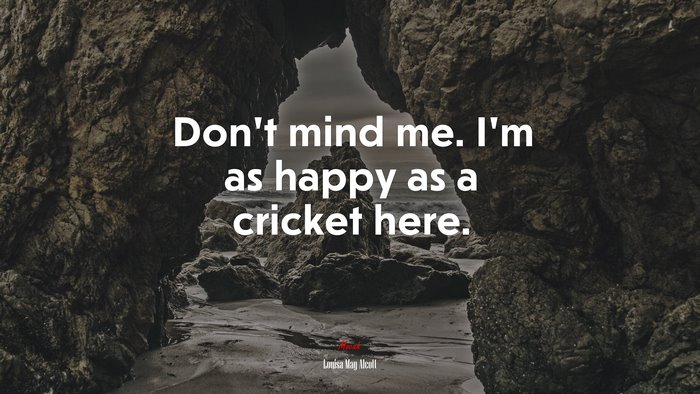 Don’t mind me. I’m as happy as a cricket here. | Louisa May Alcott quote