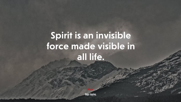 Spirit is an invisible force made visible in all life. | Maya Angelou quote