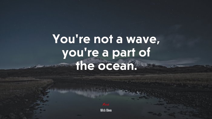 You’re not a wave, you’re a part of the ocean. | Mitch Albom quote