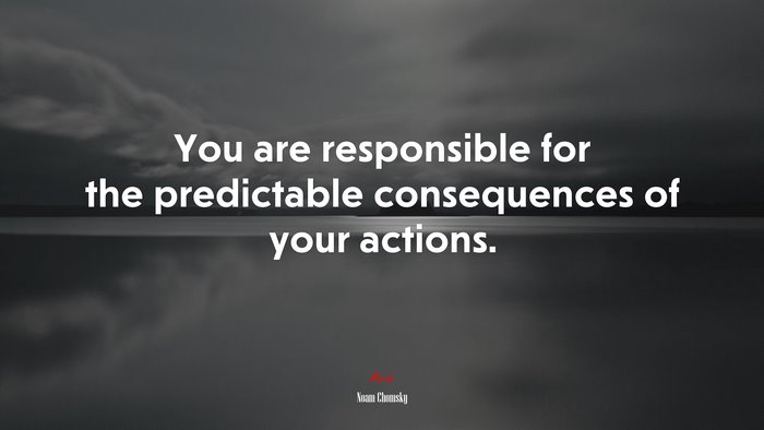 You are responsible for the predictable consequences of your actions. | Noam Chomsky quote