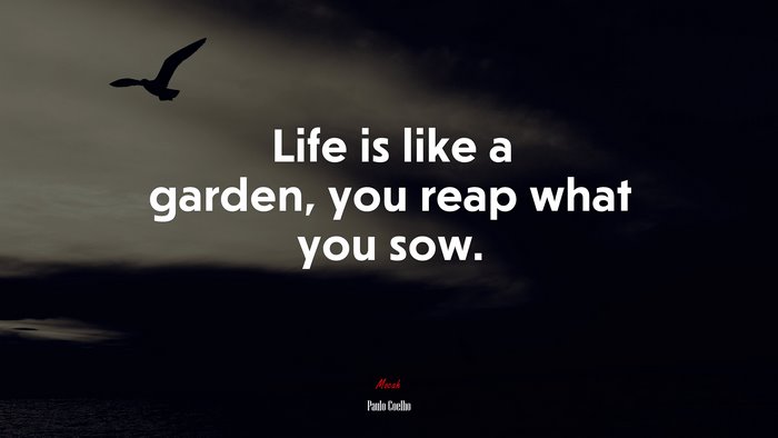 Life is like a garden, you reap what you sow. | Paulo Coelho quote