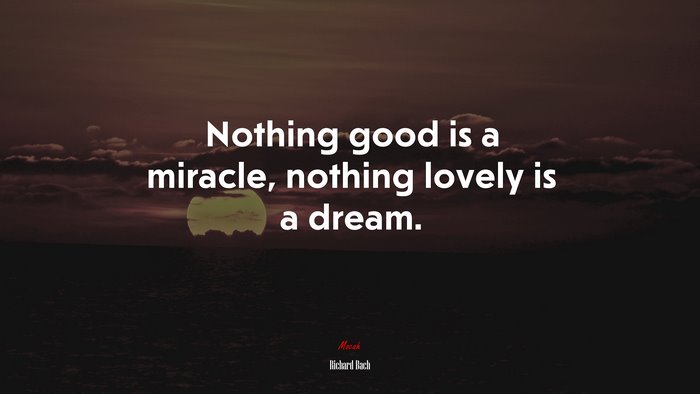 Nothing good is a miracle, nothing lovely is a dream. | Richard Bach quote