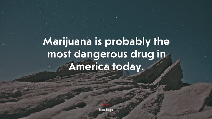 Marijuana is probably the most dangerous drug in America today. | Ronald Reagan quote