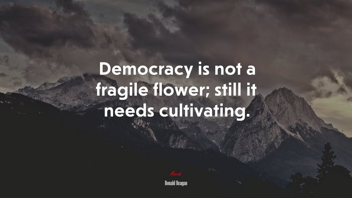 Democracy is not a fragile flower; still it needs cultivating. | Ronald Reagan quote