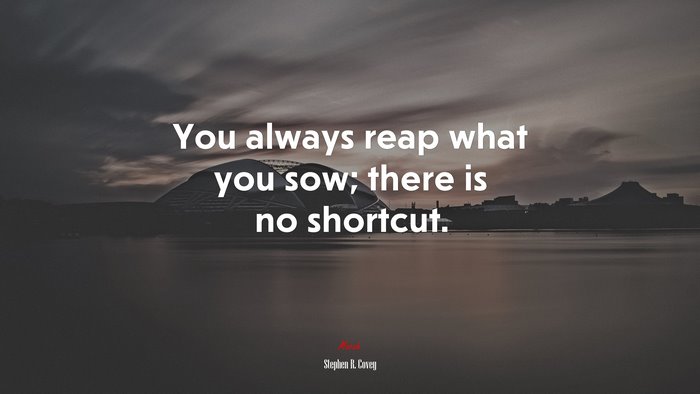 You always reap what you sow; there is no shortcut. | Stephen R. Covey quote