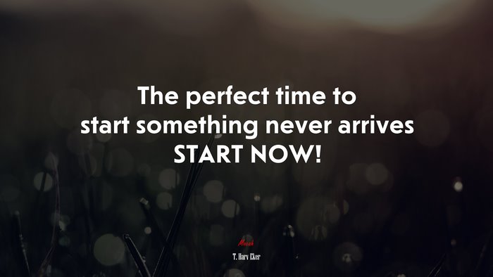 The perfect time to start something never arrives START NOW! | T. Harv Eker quote