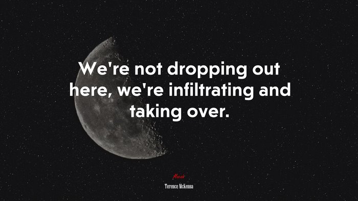 We’re not dropping out here, we’re infiltrating and taking over. | Terence McKenna quote