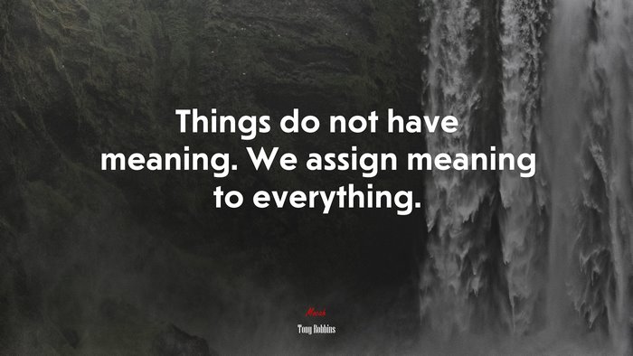 Things do not have meaning. We assign meaning to everything. | Tony Robbins quote