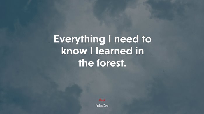 Everything I need to know I learned in the forest. | Vandana Shiva quote