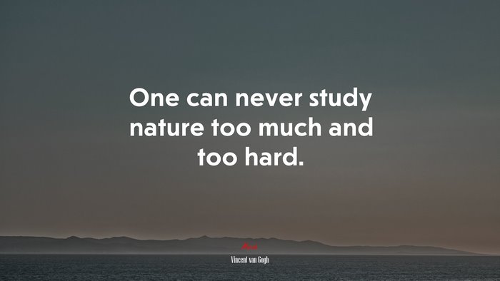 One can never study nature too much and too hard. | Vincent van Gogh quote
