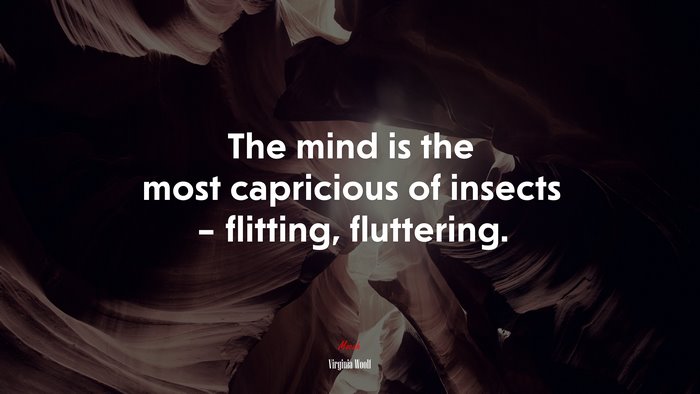 The mind is the most capricious of insects – flitting, fluttering. | Virginia Woolf quote