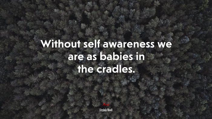 Without self awareness we are as babies in the cradles. | Virginia Woolf quote