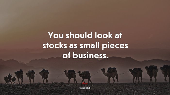 You should look at stocks as small pieces of business. | Warren Buffett quote
