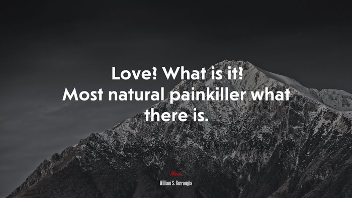 Love? What is it? Most natural painkiller what there is. | William S. Burroughs quote