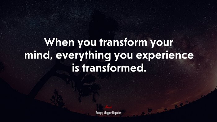 When you transform your mind, everything you experience is transformed. | Yongey Mingyur Rinpoche quote