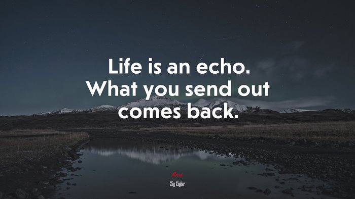 Life is an echo. What you send out comes back. | Zig Ziglar quote