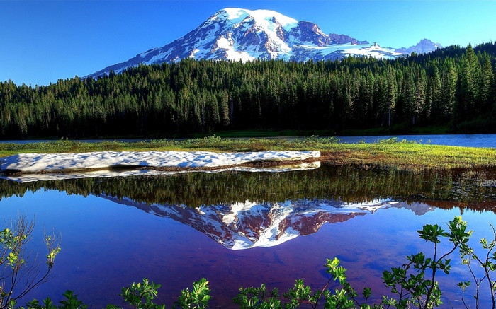 Mount Rainier reflected in a lake with snow and trees