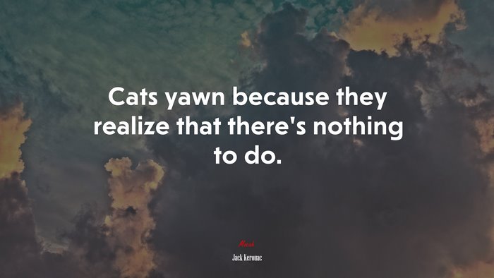 Cats yawn because they realize that there’s nothing to do. | Jack Kerouac quote