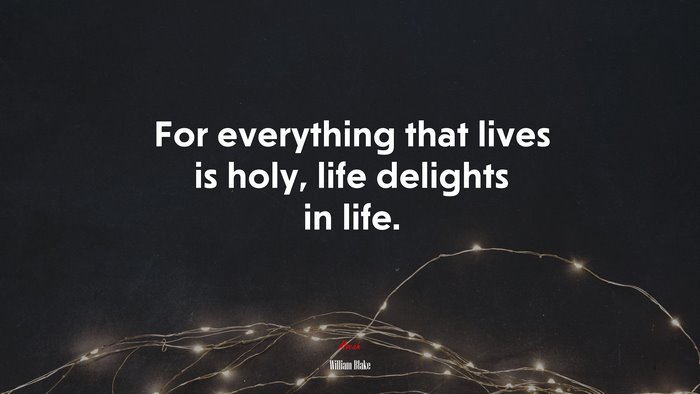 For everything that lives is holy, life delights in life. | William Blake quote