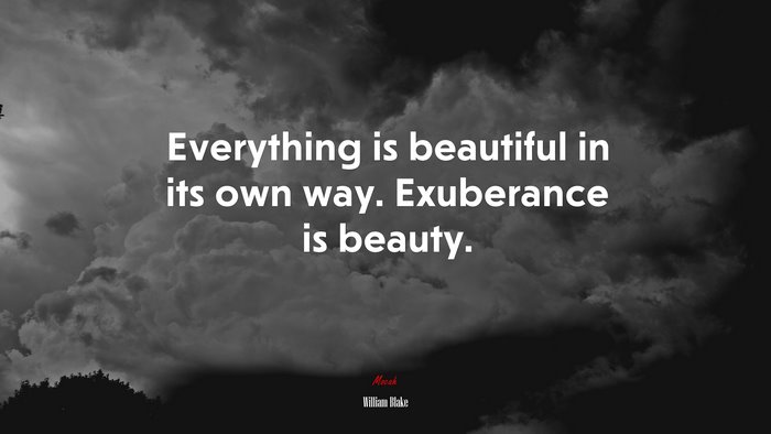 Everything is beautiful in its own way. Exuberance is beauty. | William Blake quote