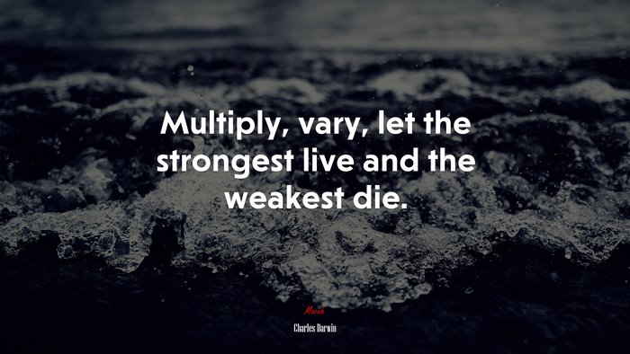 Multiply, vary, let the strongest live and the weakest die. | Charles Darwin quote